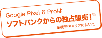 Google Pixel 6 Proはソフトバンクからの独占販売！　※携帯キャリアにおいて