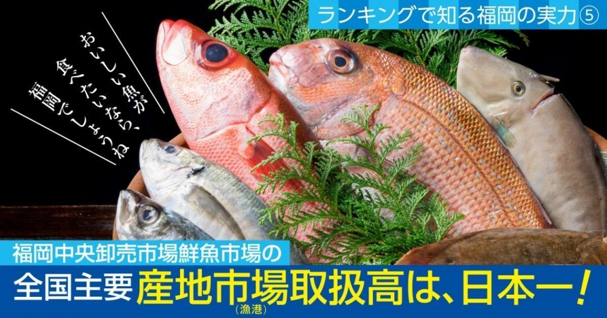 福岡の魚はno1 福岡で おいしい魚 が食べられるのには 理由がある ファンファン福岡