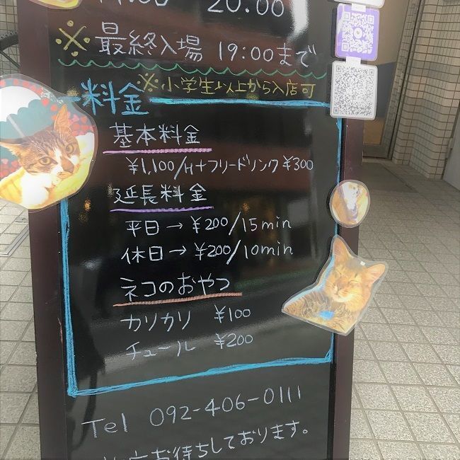 モフモフ かわいさ100 猫カフェnyao Nyao ファンファン福岡