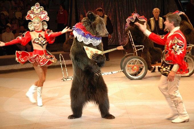 夏休みの思い出は ボリショイサーカス で 動物たちの華麗な舞台と驚きのイリュージョン ファンファン福岡